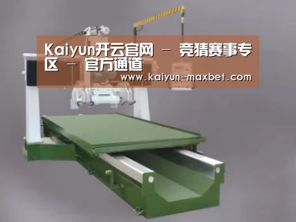 产品名称十