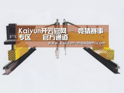 产品名称十九